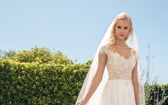 Beaded Bodice Meets Simple Chiffon Skirt. Desktop Image