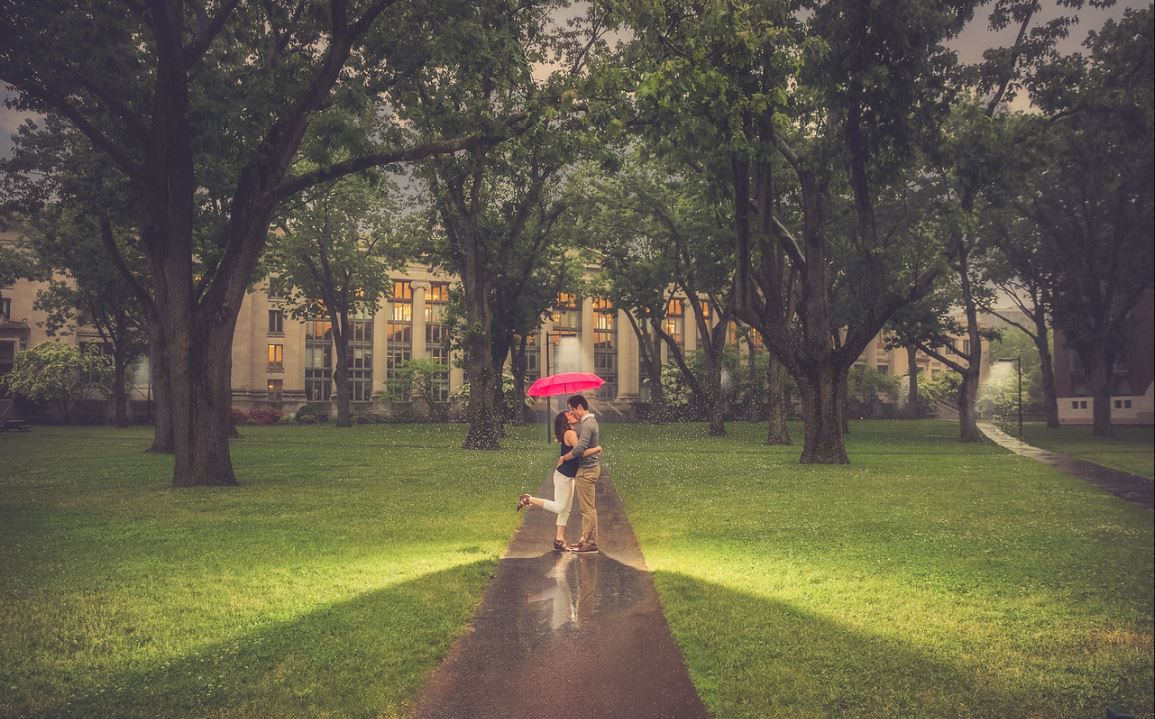 Gallery Image #slidesGrid0