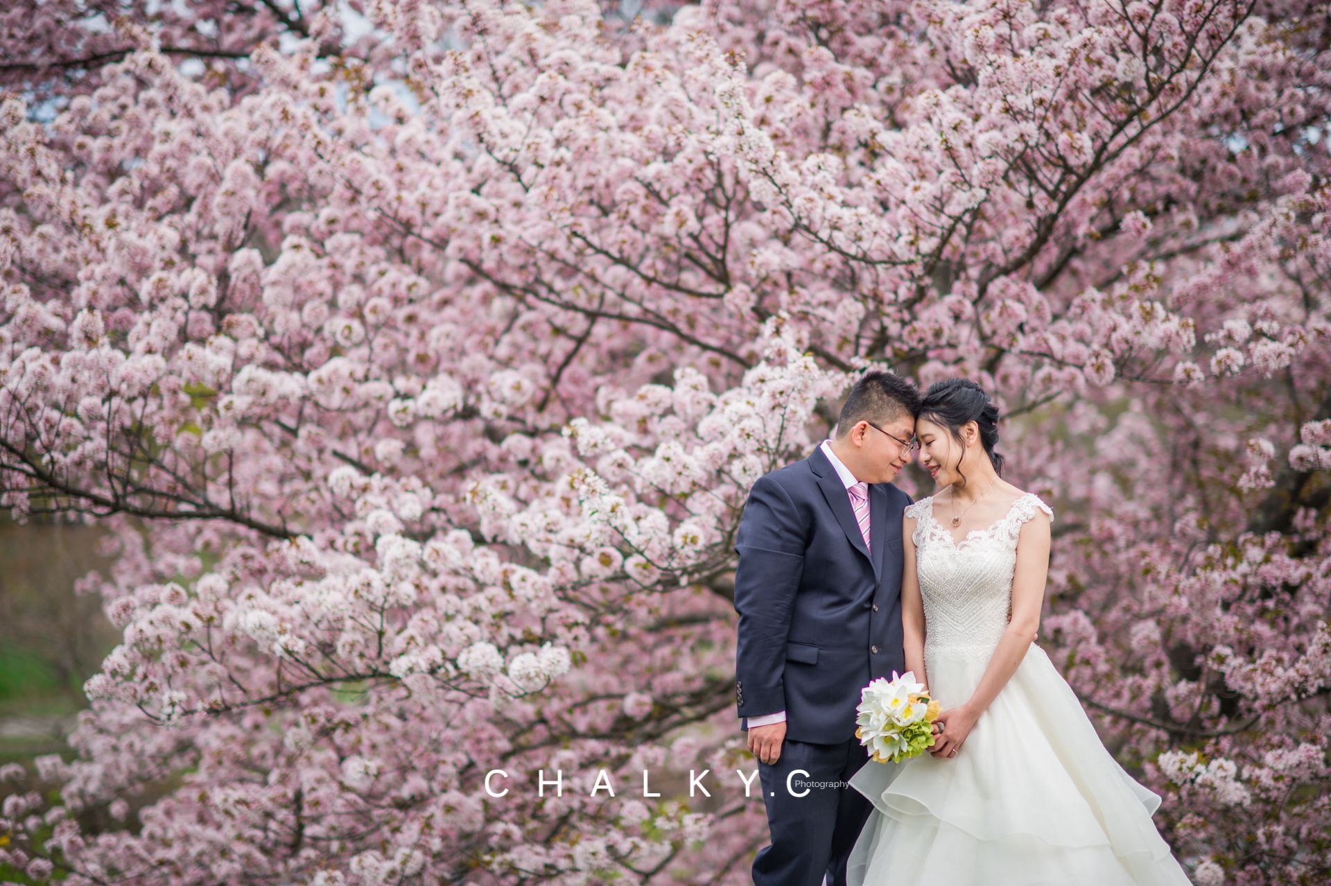 Gallery Image #slidesGrid7